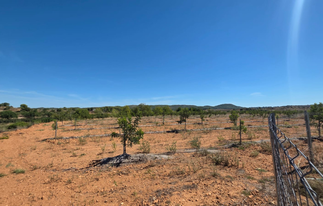 Terreno en venta
