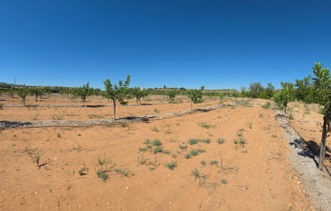 Terreno en venta