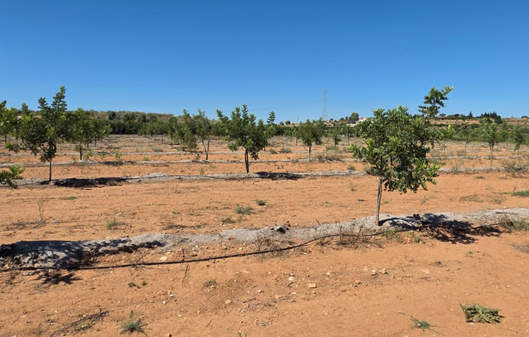 Terreno en venta