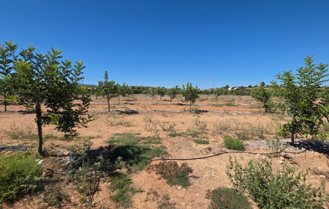 Terreno en venta