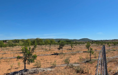 Terreno en venta