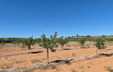 Terreno en venta