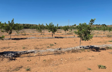 Terreno en venta