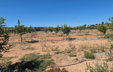 Terreno en venta